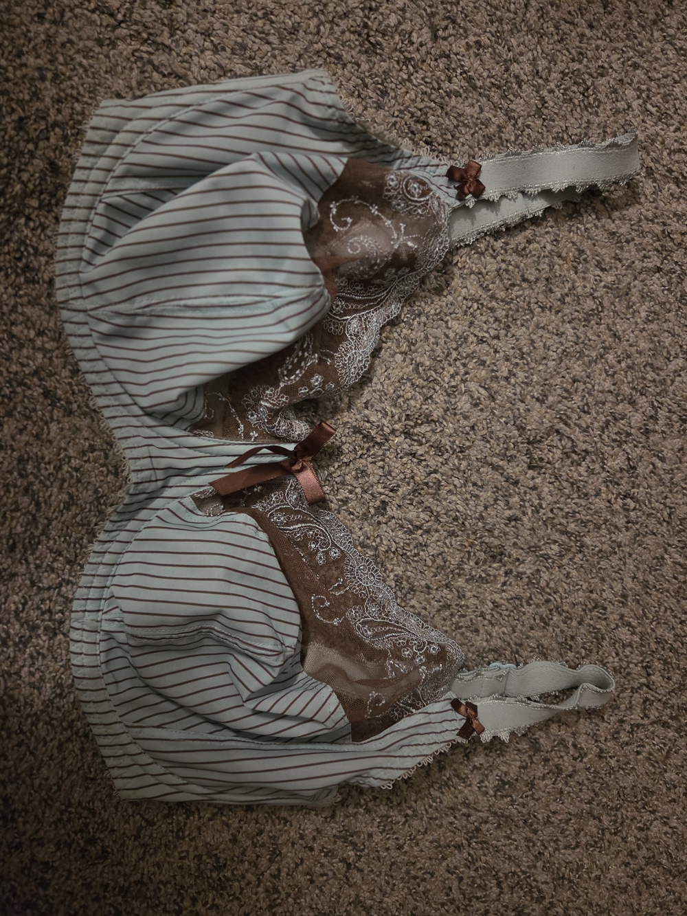 Vintage Striped Lace Trim Underwire Bra in Baby Blue and Brown